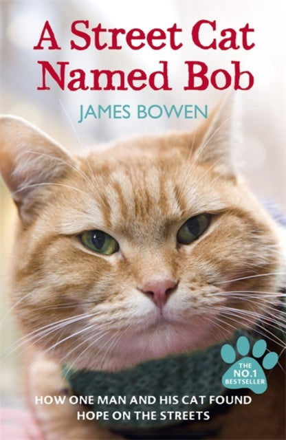 A Street Cat Named Bob : How one man and his cat found hope on the streets-9781444737110