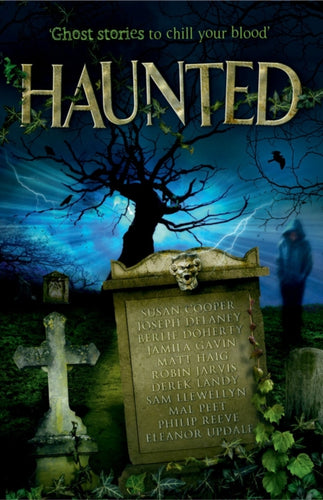 Haunted-9781849393218